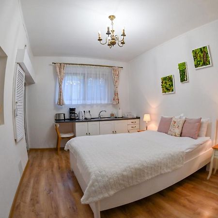 Transilvania Apartment Sibiu Extérieur photo