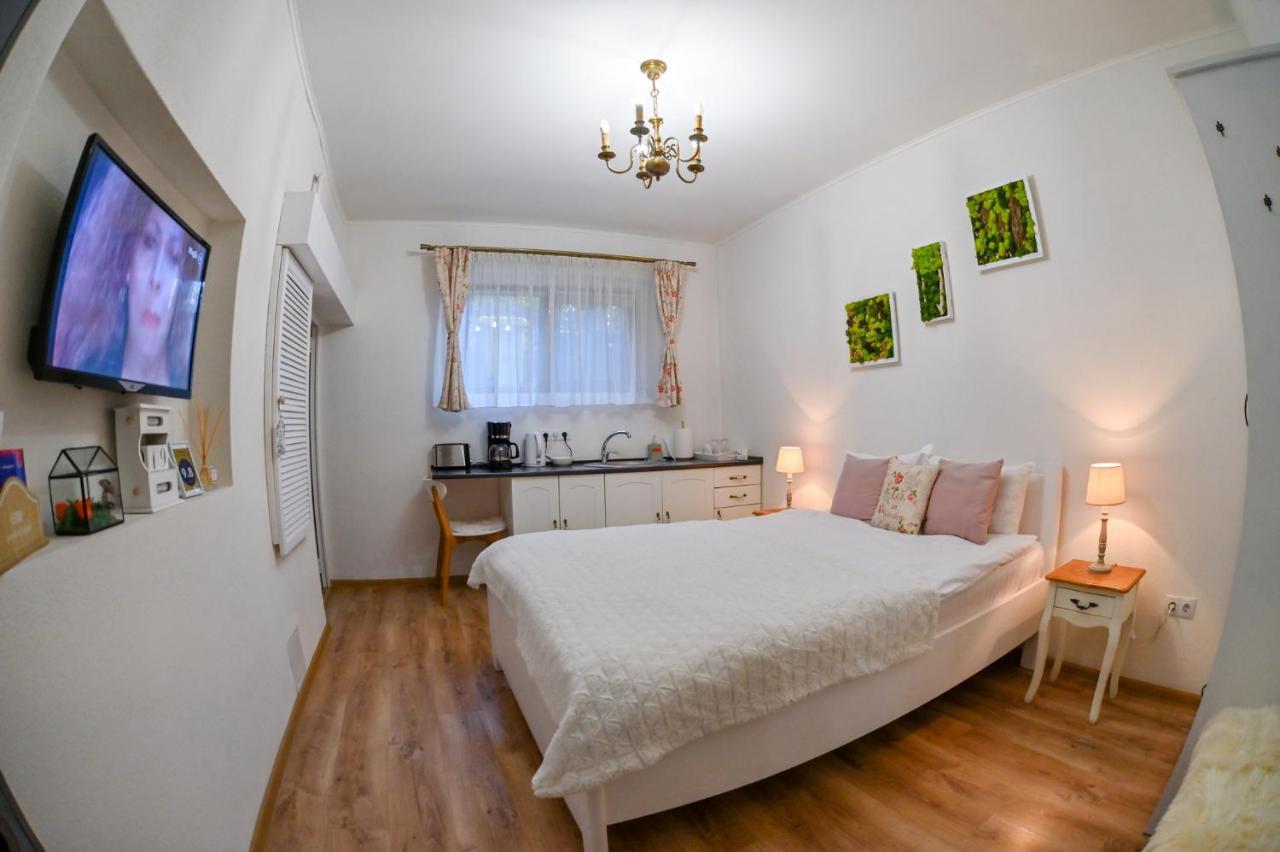 Transilvania Apartment Sibiu Extérieur photo