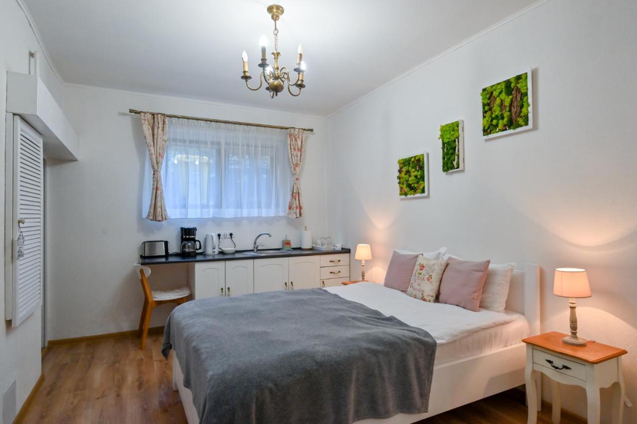 Transilvania Apartment Sibiu Extérieur photo