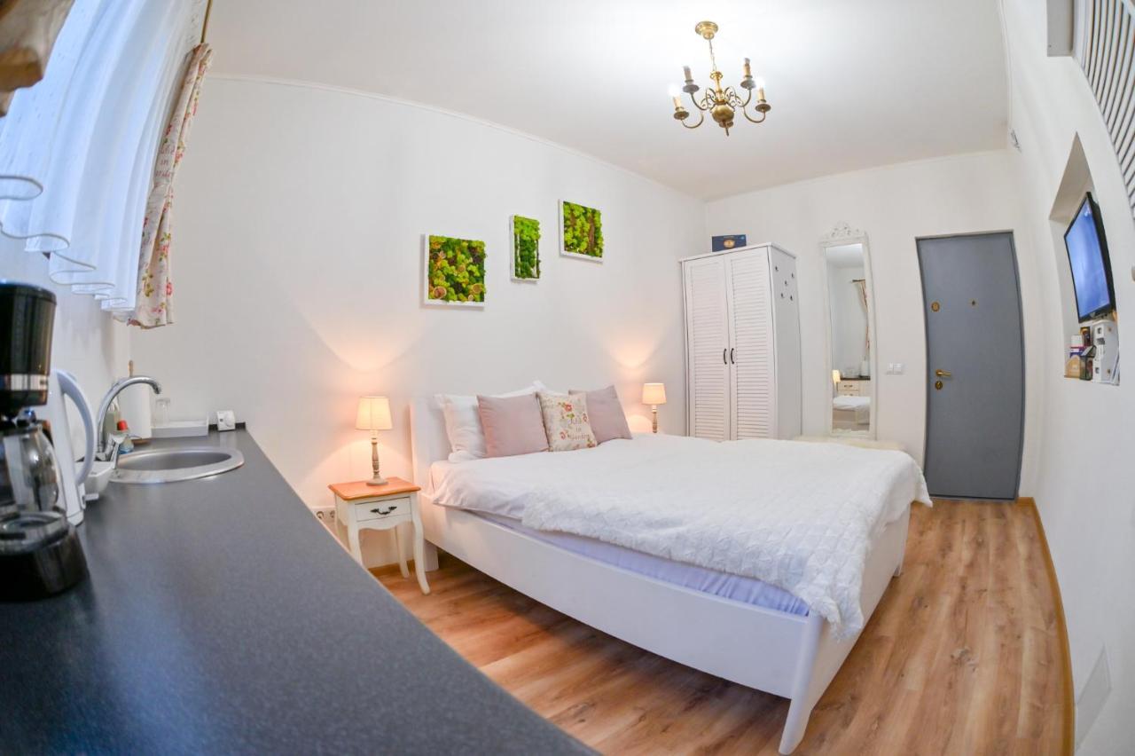 Transilvania Apartment Sibiu Extérieur photo